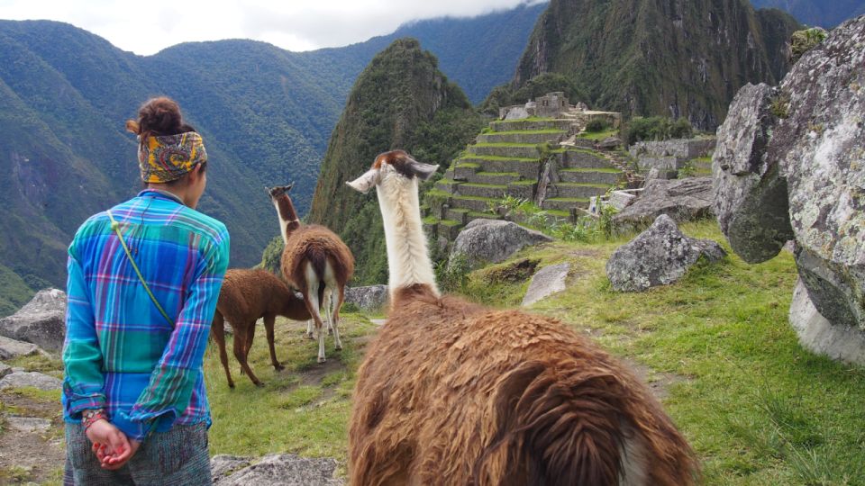 From Cusco: Machu Picchu Day Trip - Key Points