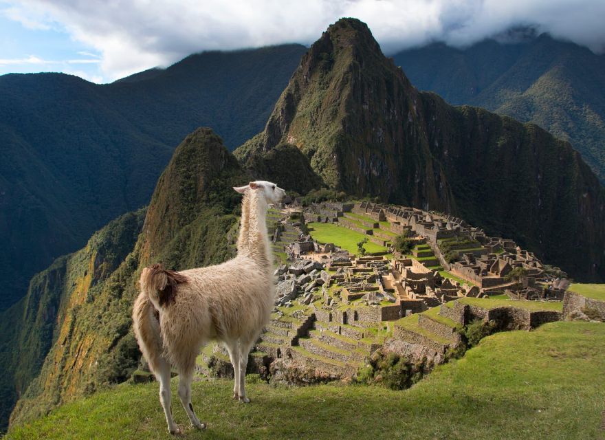 From Cusco : Machu Picchu + Huayna Picchu Mountain - Key Points