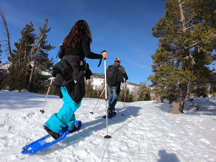 Lake Tahoe: Snowshoeing Guided Tour - Key Points