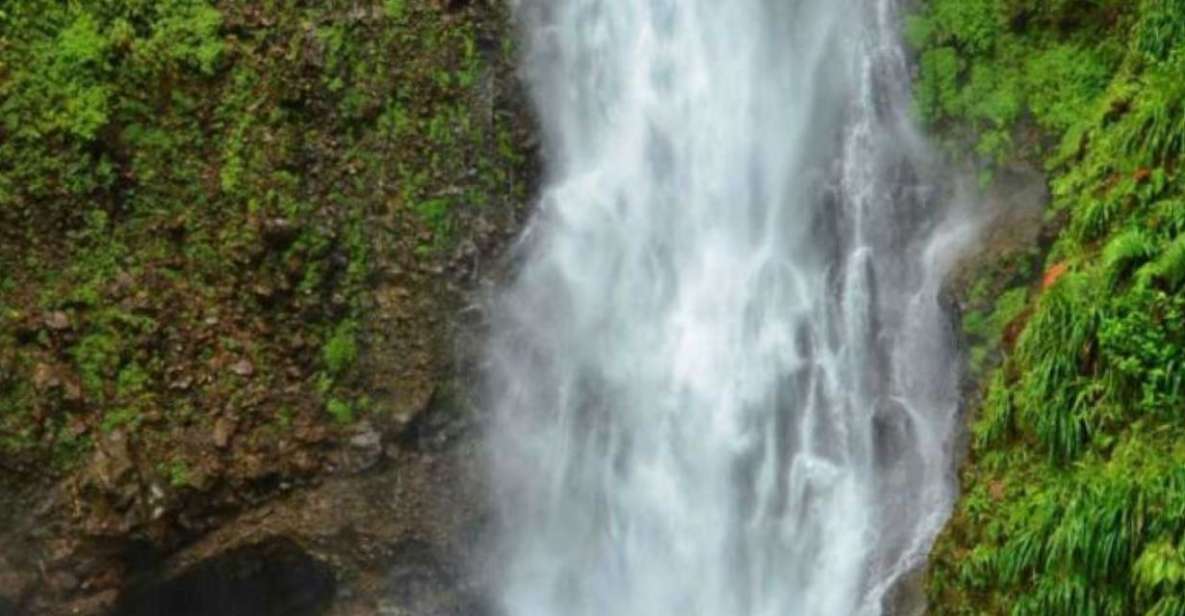 Roseau: Guided Day Trip to Popular Waterfalls - Key Points