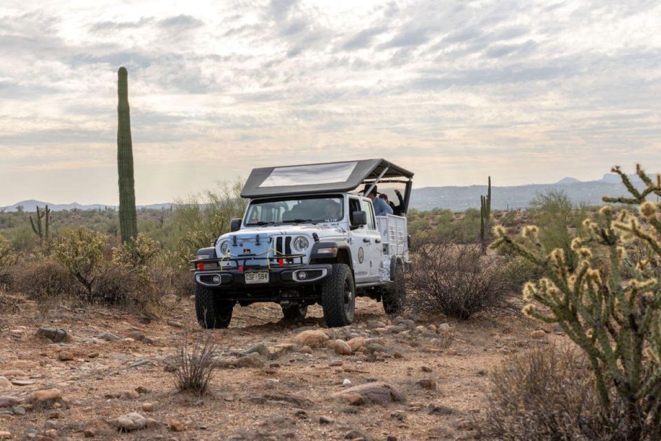 Jumping Cholla (Choya) Jeep Tour - Tour Overview