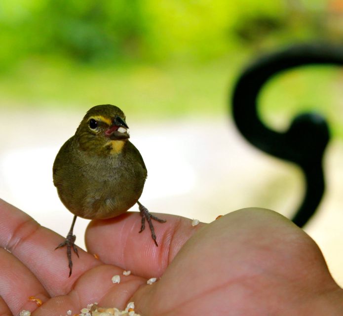 Lethe Great River Rafting With Rockland Bird Santuary Tour - Tour Details