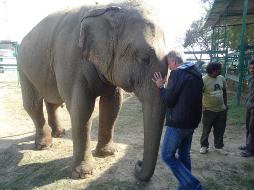 Same Day Tajmahal Tour With SOS Elephant/Bear Sanctuary - Tour Details