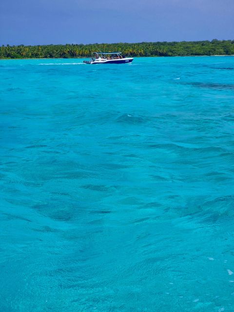 Saona Island: All-Inclusive Full-Day Tour