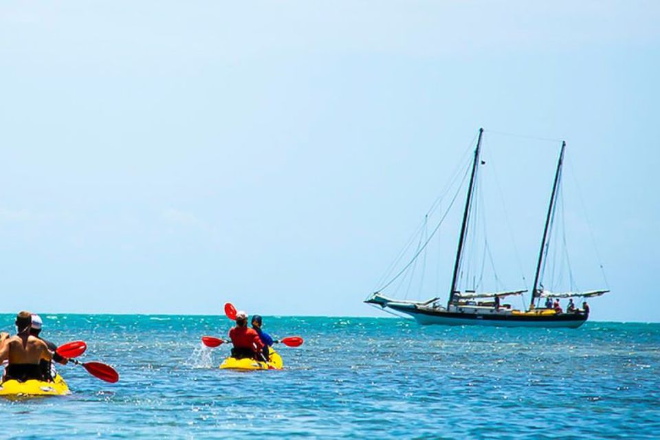 Key West: Full Day Tour of Key West National Wildlife Refuge - Activity Description