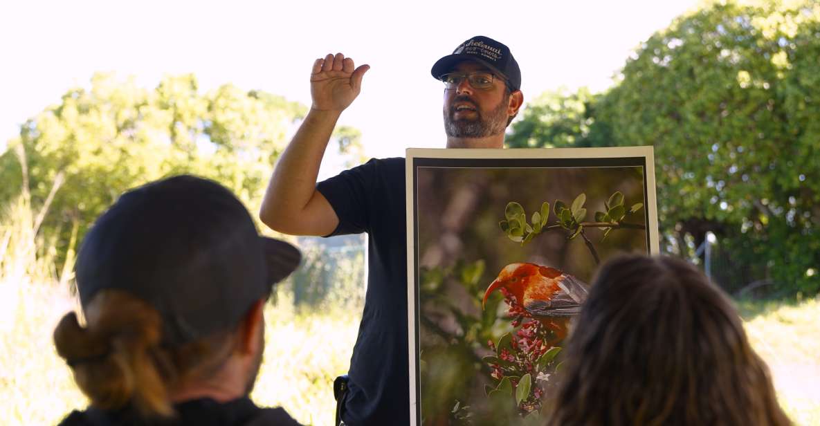 Maui: Honolua Ridgeline Informational Hike - Highlights of the Guided Hike