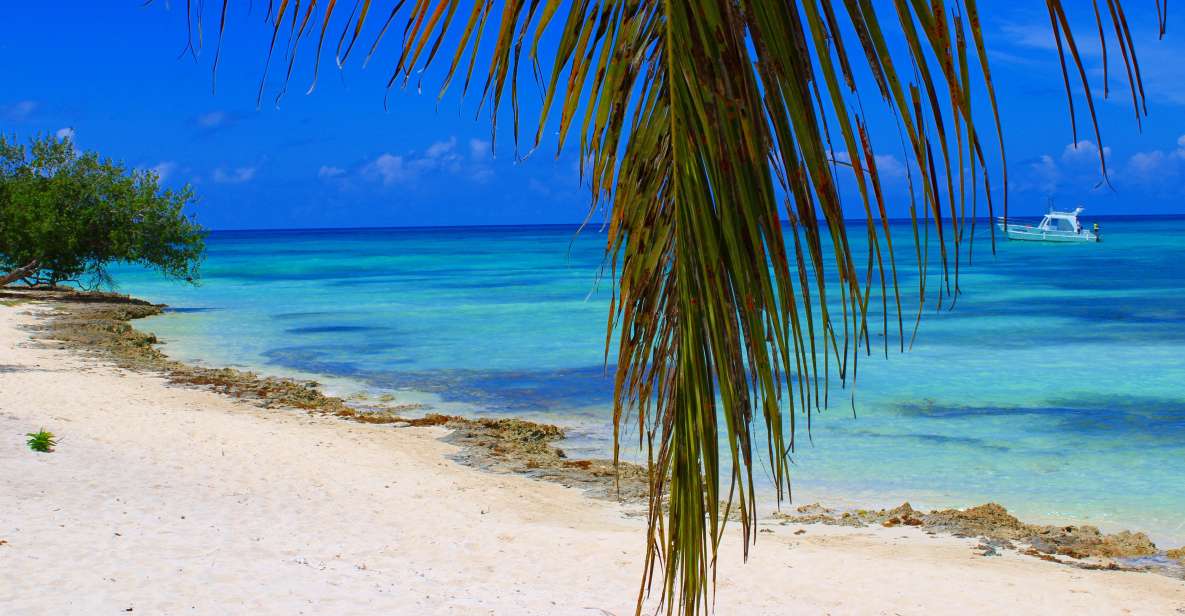 Saona Island: All-Inclusive Full-Day Tour - Inclusions