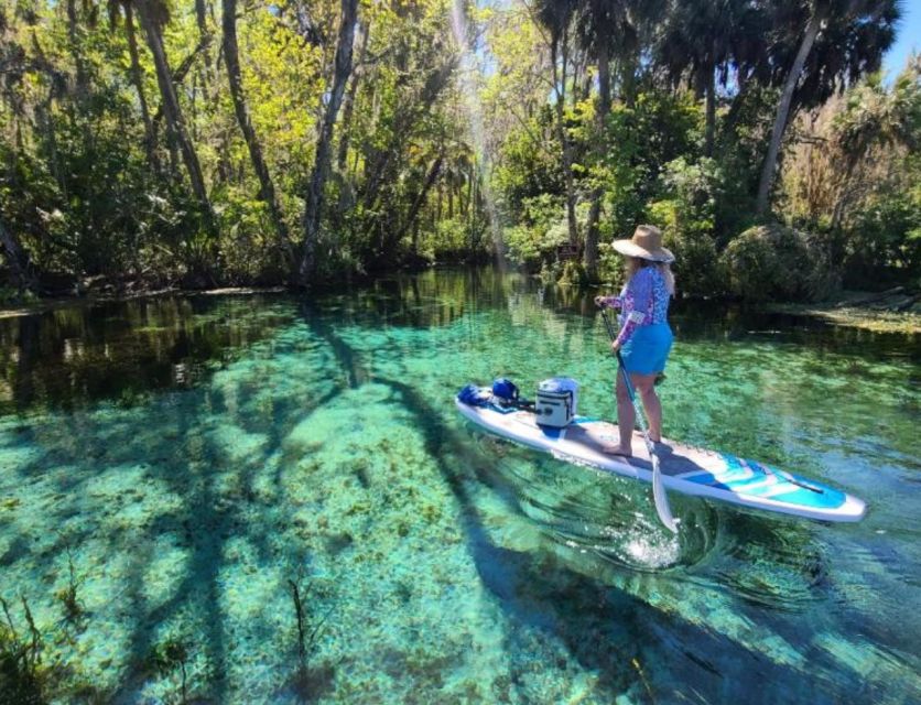 Silver Springs: Manatees and Monkeys Clear Kayak Guided Tour - Highlights