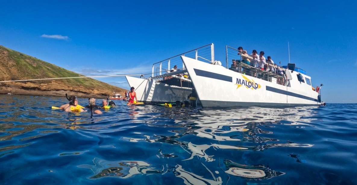 South Maui: PM Snorkel to Coral Gardens or Molokini Crater - Experience Highlights