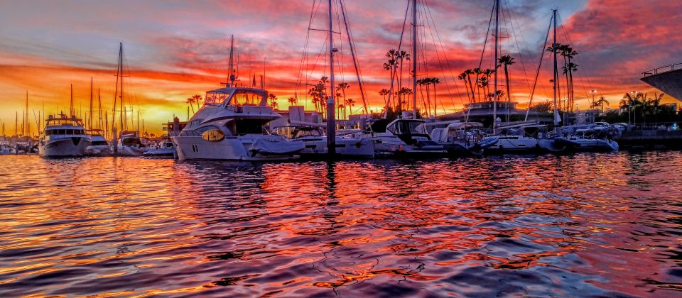 Venice Beach: Photography Tour With a Local Guide - Experience Highlights