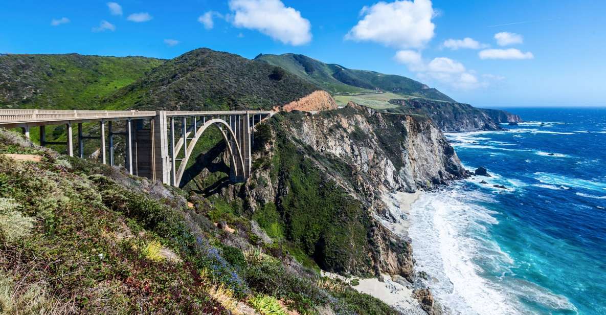 Big Sur: Sightseeing Tour With 4 to 5 Stops - Important Information and Restrictions