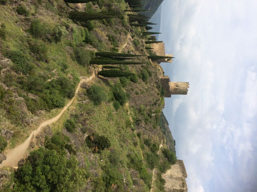 From Carcassonne:Lastours Castles & Carcassonne Guided Tour - Inclusions