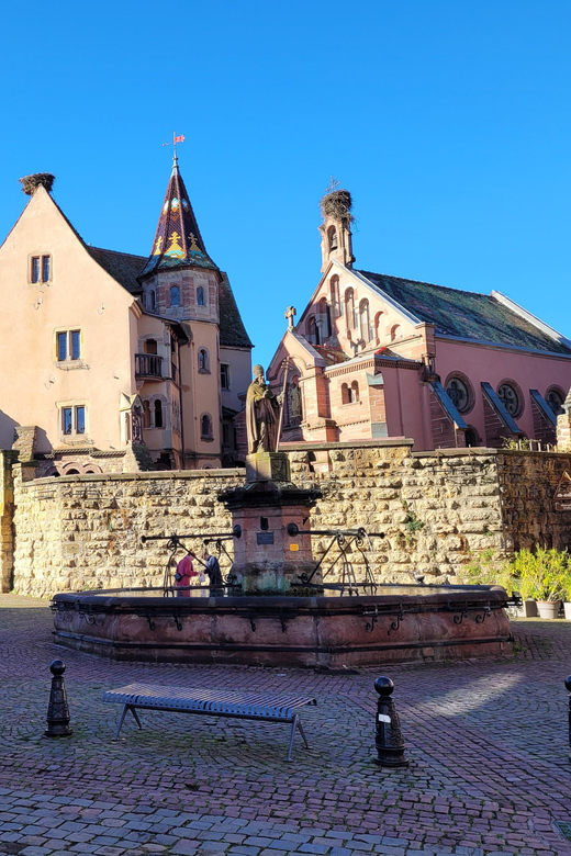 From Colmar: Alsace Wine Route Tour Half Day - Inclusions