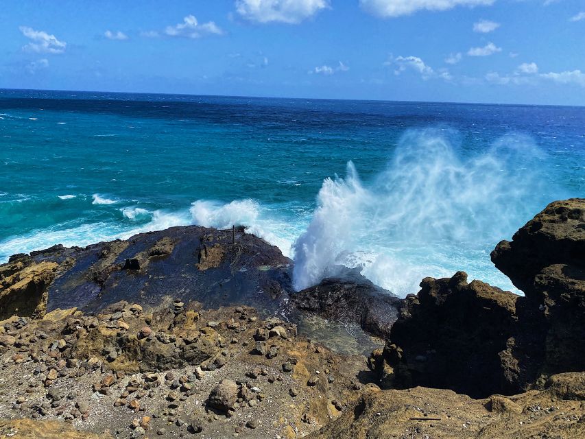 Oahu: North Shore Experience and Dole Plantation - Important Information