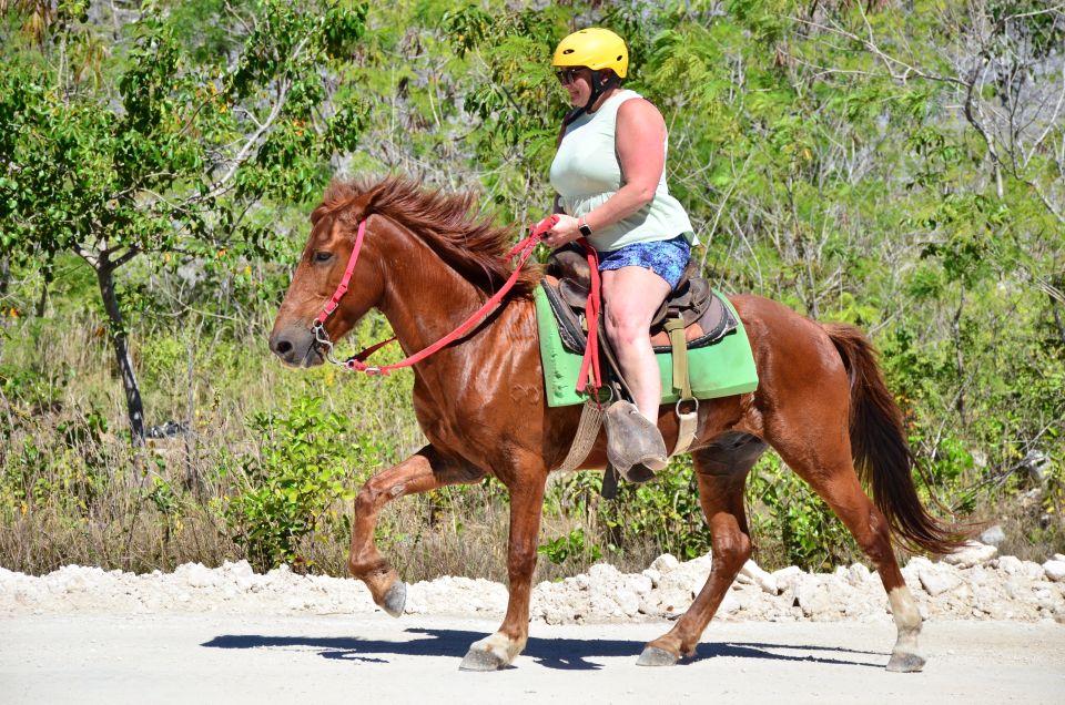 Punta Cana: Bávaro Adventure Park Horse Riding & Waterfalls - Included Experiences