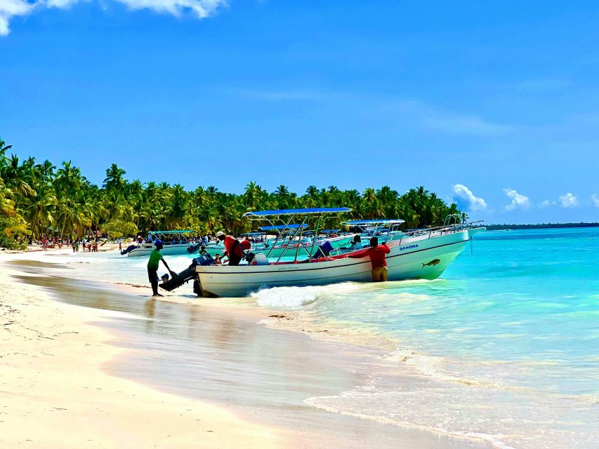 Saona Island: All-Inclusive Full-Day Tour - Experience Description