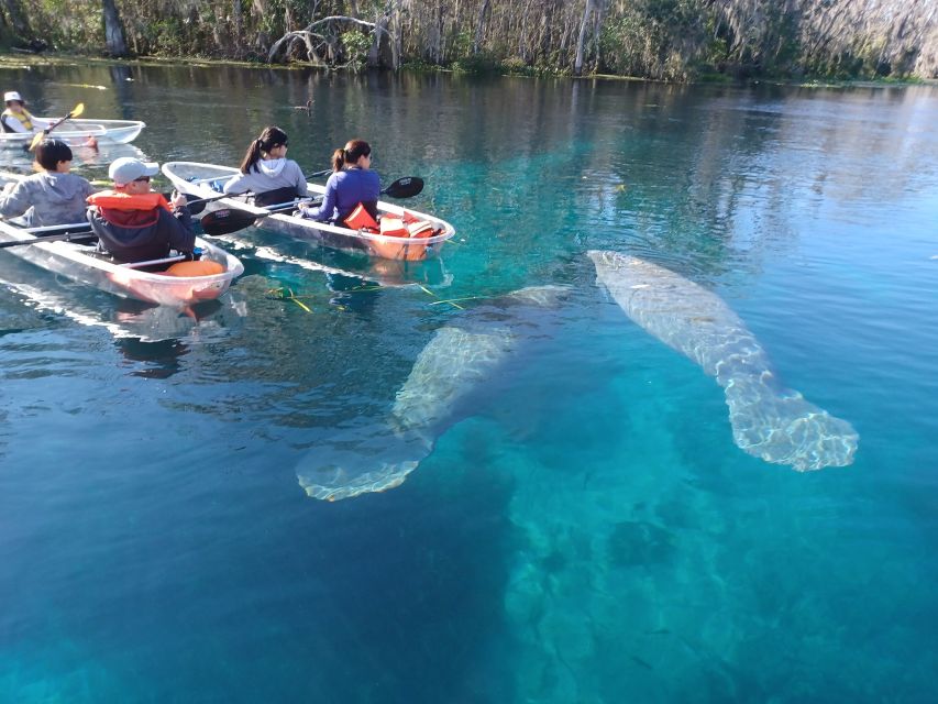 Silver Springs: Manatees and Monkeys Clear Kayak Guided Tour - Booking Information