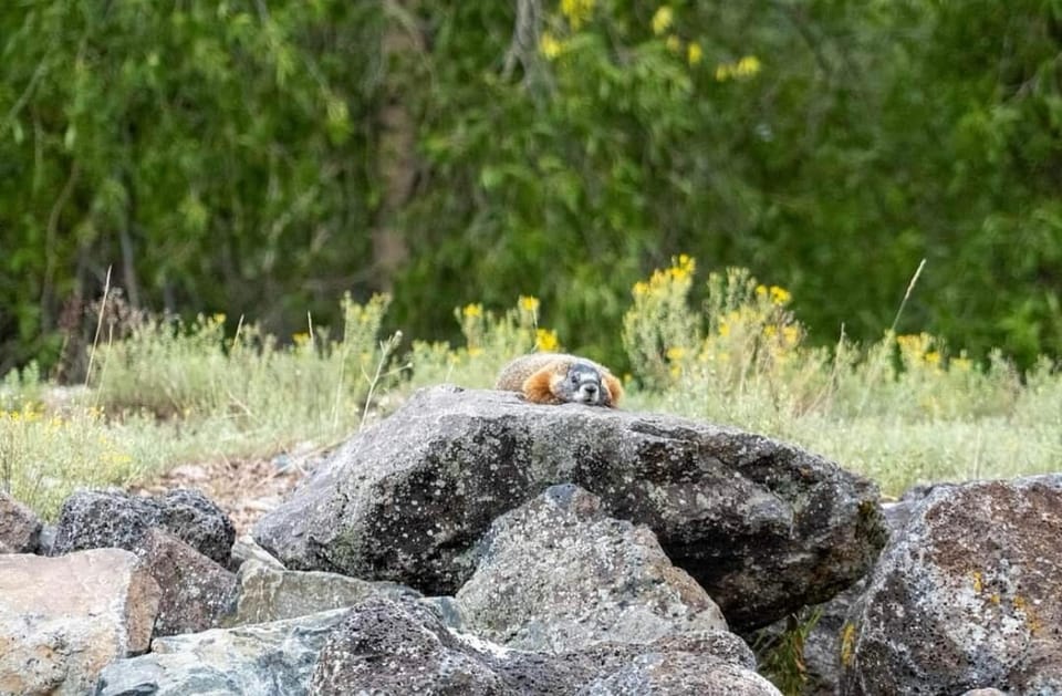 Jackson Hole: Snake River Scenic Float Tour With Chairs - Common questions