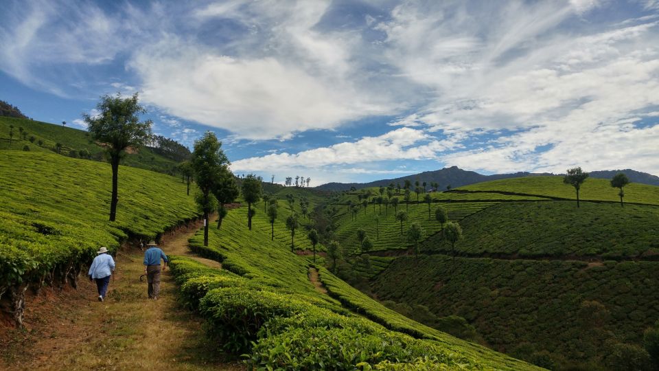 Munnar Private Day Trip - Important Information for Travelers