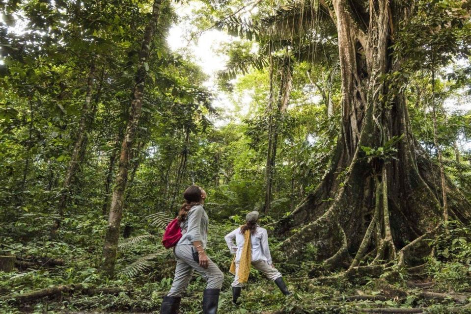 From Iquitos || 4-Day Wildlife Expedition in Pacaya Samiria - Sum Up