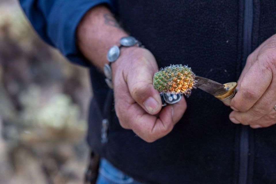 Jumping Cholla (Choya) Jeep Tour - Important Requirements