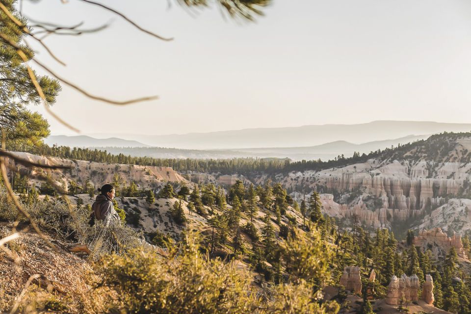 Las Vegas: Grand Canyon National Park South Rim Guided Tour - Important Information