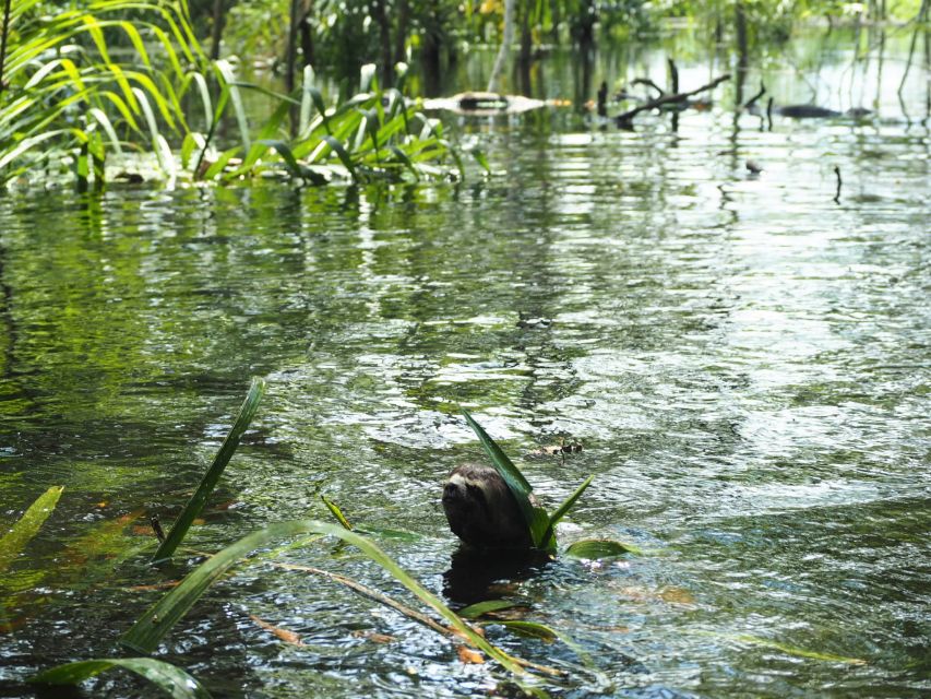 Pacaya-Samiria National Reserve: Multi Day Jungle Expedition - Important Information