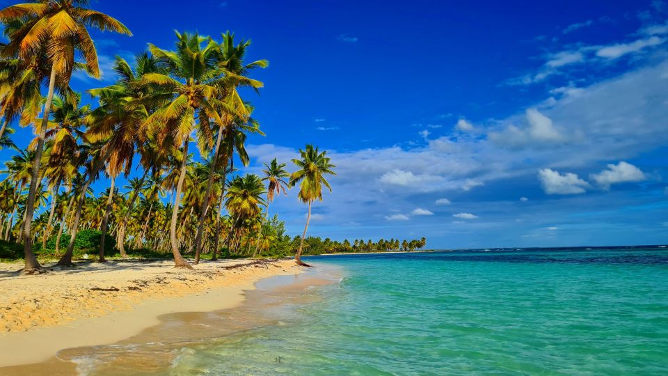 Saona Island: All-Inclusive Full-Day Tour - Highlights