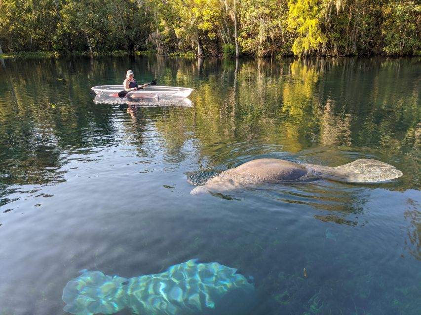 Silver Springs: Manatees and Monkeys Clear Kayak Guided Tour - Meeting Point