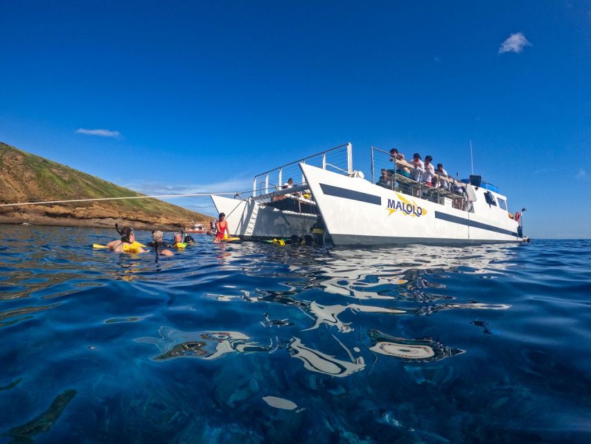 South Maui: PM Snorkel to Coral Gardens or Molokini Crater - Important Information