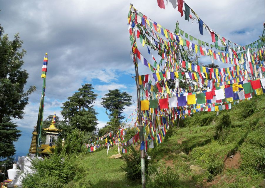 Best of Dharamshala With a Local - Full Day Guided Tour - Common questions