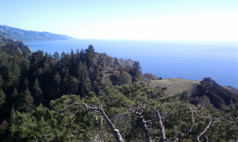 Big Sur: Sightseeing Tour With 4 to 5 Stops - Sum Up