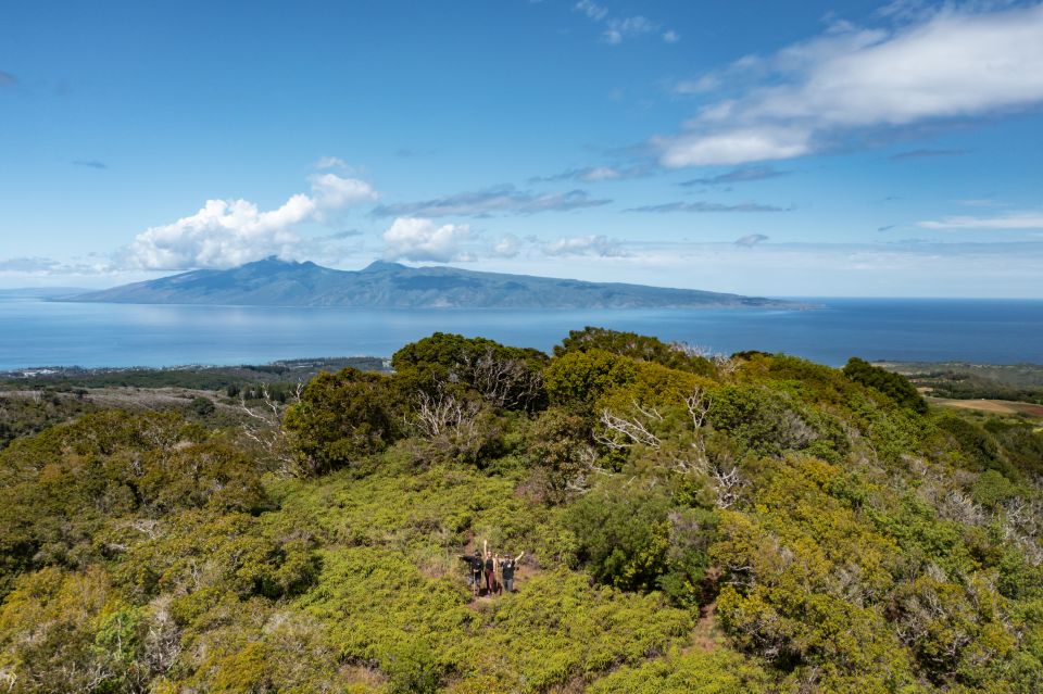 Maui: Honolua Ridgeline Informational Hike - Insights Into Watershed Conservation