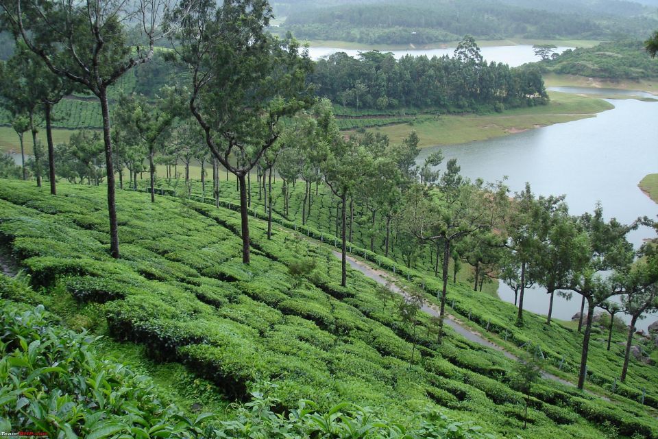 Munnar Private Day Trip - Directions and Booking Details