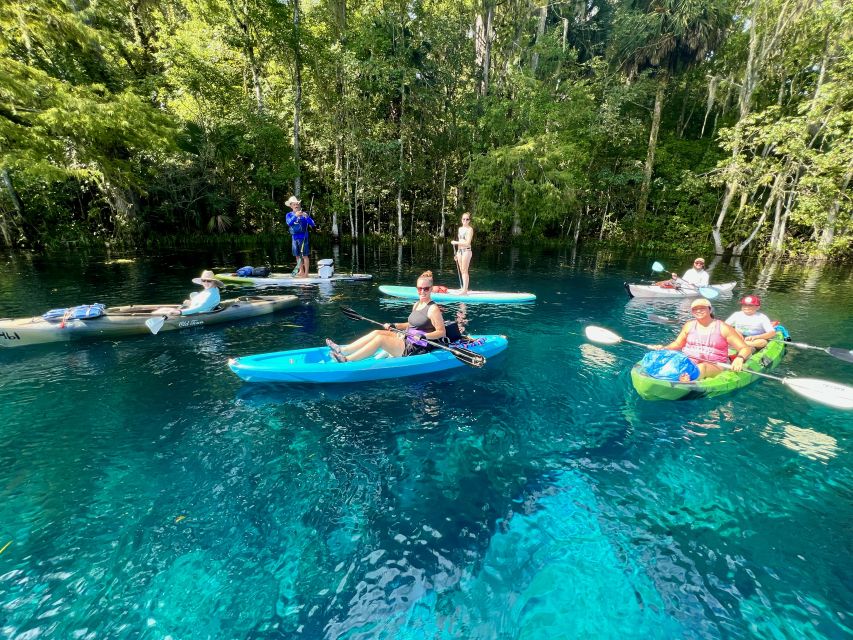 Silver Springs: Manatees and Monkeys Clear Kayak Guided Tour - Customer Reviews