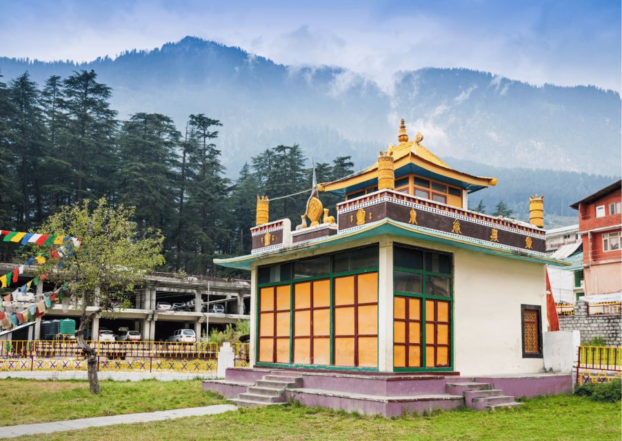 Best of Dharamshala With a Local - Full Day Guided Tour - Sum Up