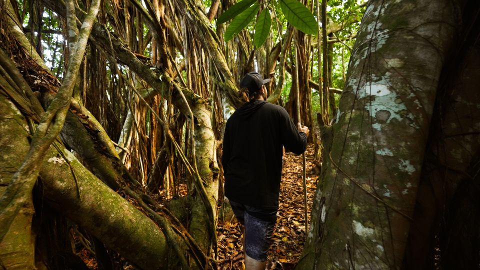 Maui: Honolua Ridgeline Informational Hike - Explore Mauis Flora and Fauna