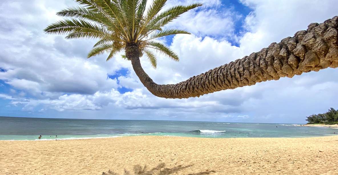 Oahu: North Shore Experience and Dole Plantation - Tour Details