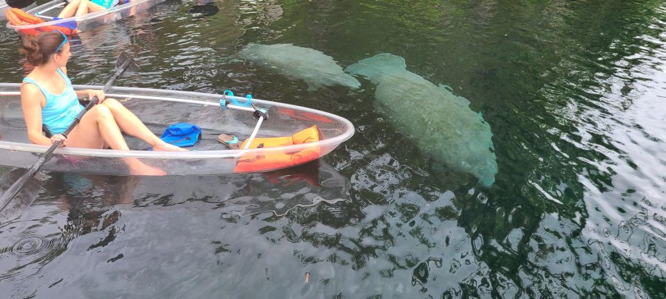 Silver Springs: Manatees and Monkeys Clear Kayak Guided Tour - Directions