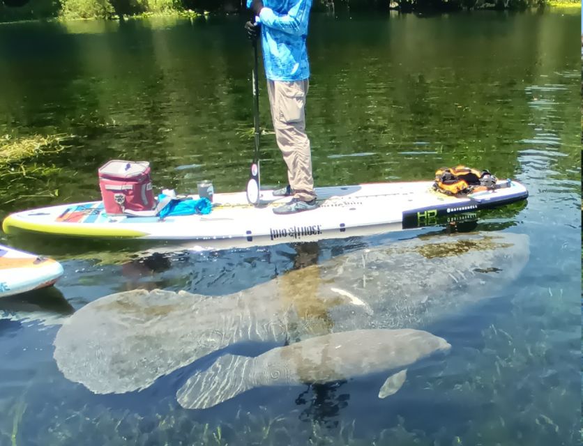 Silver Springs: Manatees and Monkeys Clear Kayak Guided Tour - Common questions