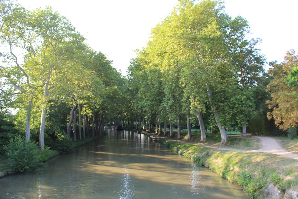 Lastours, Vinyard, Minerve, Canal Du Midi From Carcassonne - Key Points