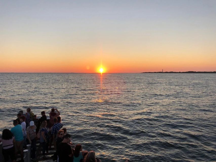 Cape May: Sunset Dolphin Cruise With Optional Wine Tastings