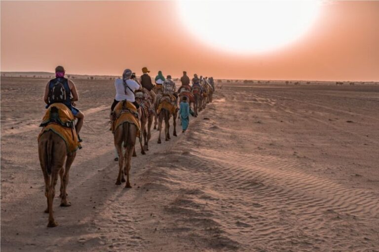 Dazzling Half Day Camel Safari Tour With Sunset at Dunes