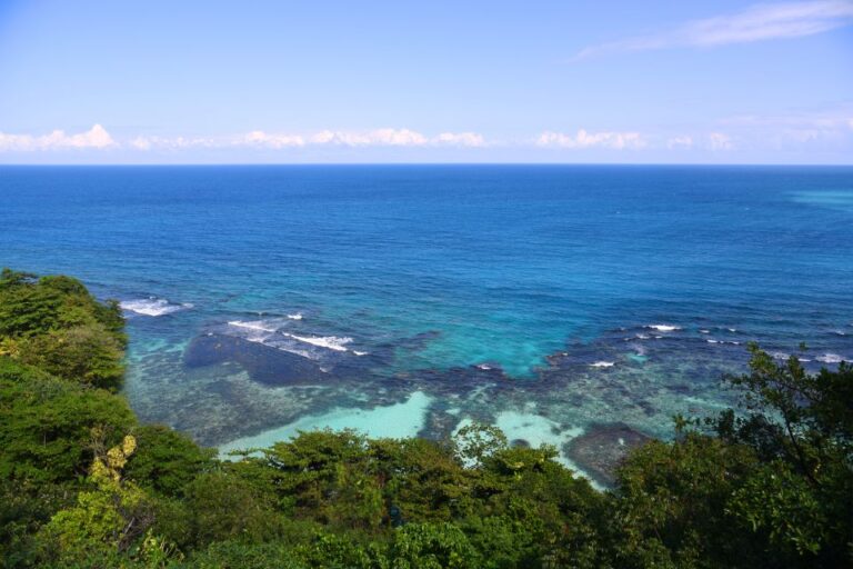 Dolphin Swim Encounter – Dolphin Cove, Ocho Rios, Jamaica