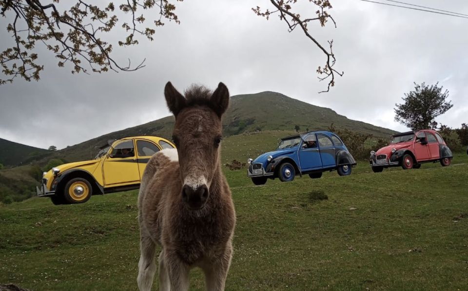 Family Trip Biarritz in Citroen 2CV