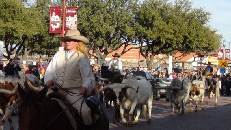 From Dallas: Fort Worth Guided Day Tour