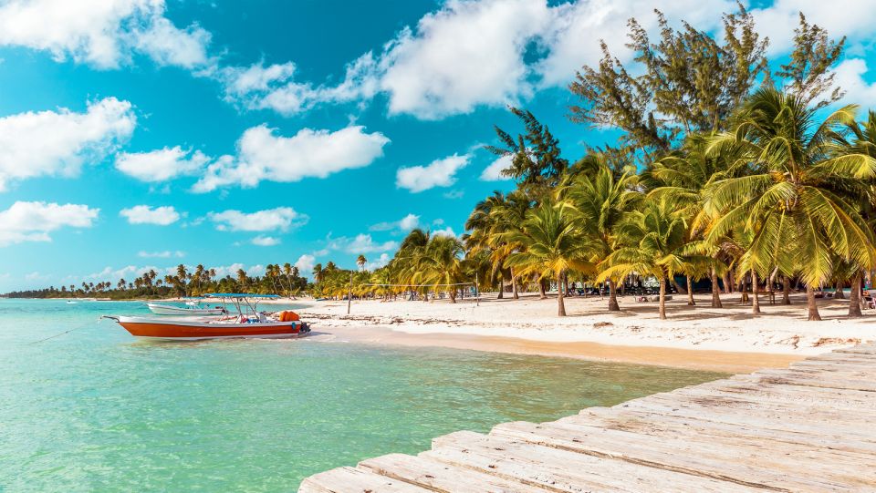 From Punta Cana: Full-Day Saona Island Excursion - Excursion Details