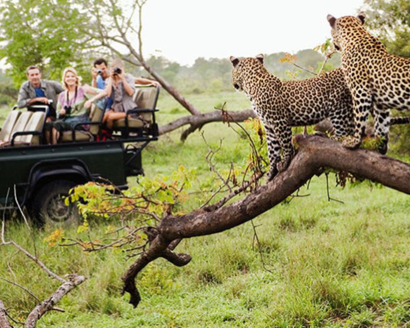 Jaipur: Private Jhalana Leopard Safari Tour - Itinerary