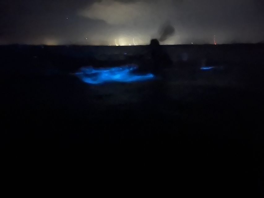 Orlando: Bioluminescence Kayak and Swim Adventure