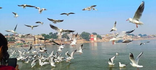 Varanasi : Private Sightseeing Day Trip & Ganges Cruise